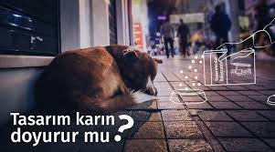 tasarla gelsin sokak hayvanlarina mama gitsin yesilist herkes icin yesil