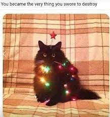 23 Holiday Animal Memes As A Forewarning Of What S To Come And To Bring You Joy Obviously Day 23 Pet Holiday Funny Animal Pictures Animal Memes