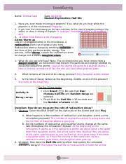 Answers to grade 9 circuits gizmos. Half Life Gizmo Answer Key Activity B Half Life Gizmo Answer Key Activity B Measuring Half Life