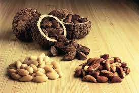 We did not find results for: The Brazil Nut Bertholletia Excelsa Characteristics And Properties Gardening On