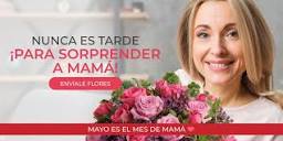Envio de Flores a Domicilio en Nezahualcoyotl-Mexico ...