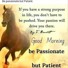 Be Passionate But Patient Passionate In 2020 Good Morning Images Good Morning Inspiration Morning Quotes