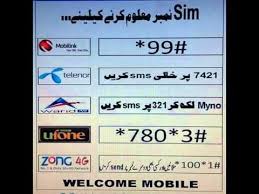 How To Check Sim Number All Network Pakistan My Sims Sims Jazz