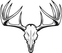 Hirsch svg, hirsch kopf svg, whitetail buck, hirsch jäger svg, hirschgeweih, jagd, hirschjagd, helle/dunkle oberflächen, no9graphicsupplyco. Deer Whitetail Stock Illustrations 362 Deer Whitetail Stock Illustrations Vectors Clipart Dreamstime