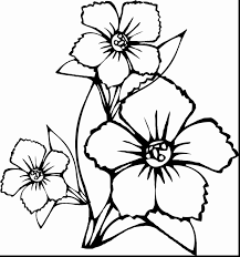 Spring Flowers Coloring Pictures Beautiful Coloring Pages Birds And Flowers In 2020 Printable Flower Coloring Pages Flower Coloring Sheets Flower Coloring Pages