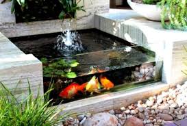 Ikan koi, desain filter kolam koi, cara menyaring kotoran koi, struktur filter kolam ikan. 15 Desain Kolam Ikan Koi Minimalis Di Dalam Rumah