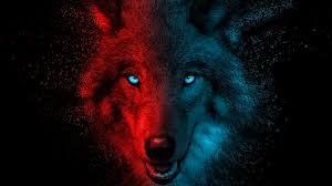 Launch the downloader app and click browser. Wolf Wallpaper 4k Scary Gradient Dark Background Animals 4779