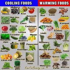 ayurvedic food chart warming versus cooling foods warm