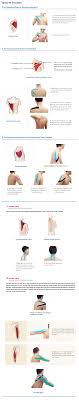 Pin On Kinesiology Taping
