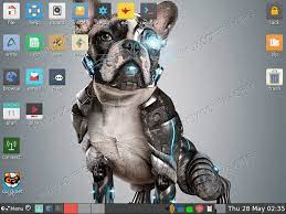 En un archivo iso de entre 50 y 180 mb, dependiendo de la versión, . Puppy Linux Download Linux Tutorials Learn Linux Configuration