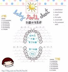 38 Printable Baby Teeth Charts Timelines Template Lab