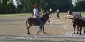 Donkey Baseball At Rock Run Youth Park