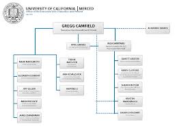 Organizational Chart Office Of The Executive Vice