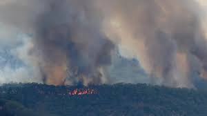You can watch townsville fire vs. Fires Don T Discriminate Christmas Day Or Not Sunshine Coast Daily
