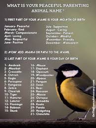 A Bit Of Peaceful Parenting Silliness Peaceful Parenting What Animal Are You Peace