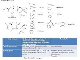 An Illustrated Review On Penicillin And Cephalosporin An Instant Study Guide For Pharmacy Students Pharmacy Student Study Guide Pharmacology