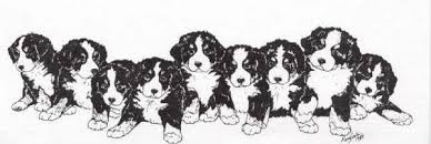 Bernese mountain dog coloring pages. Bernese Mountain Dog Graphic Animated Gif Graphics Bernese Mountain Dog 801475