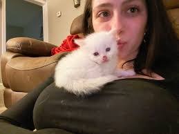 Shannon Peachey's Instagram, Twitter & Facebook