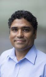 Primary & Joint Faculty