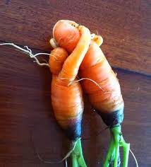 Amici In Allegria Piante E Fiori Carrots Funny Vegetables Fruits And Vegetables