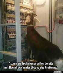 Unsere Techniker Arbeiten Bereits Mit Hochdruck An Der Losung Des Problems Lustige Bilder Spruch Memes Humor Lustige Videos Lustige Bilder Von Tieren