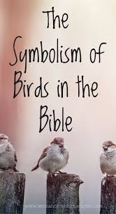 Pin On Bible