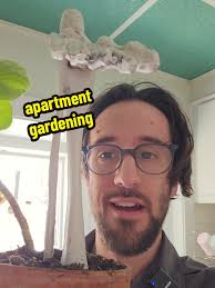 Apartment Gardening Tips for Small Spaces