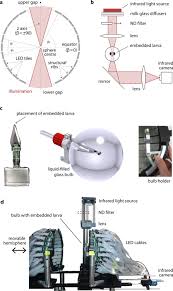 Check spelling or type a new query. Spherical Arena Reveals Optokinetic Response Tuning To Stimulus Location Size And Frequency Across Entire Visual Field Of Larval Zebrafish Elife
