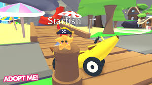 Adopt cute pets decorate your house explore the wolds of adopt me on roblox made by : Adopt Me On Twitter Please Look At This Tiny Parrot On Top Of This Tiny Starfish Pirate Thank U Banana Car For Scale