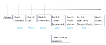 Image result for Postpartum Fever