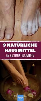 Pin Auf Prof Porter Ullrich Dvm