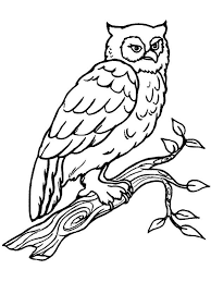 Owl Big Horn Coloring Page For Kids Jpg Owl Coloring Pages Bird Coloring Pages Animal Coloring Pages