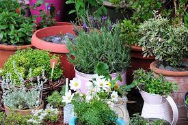 Liven up even the smallest porch or patio with a container garden. Tips To Create A Beautiful Container Gardening Display