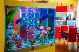 Check spelling or type a new query. Punya Akuarium Di Rumah Ini Tips Memelihara Dan Memilih Ikan Hias Yang Tepat Beserta 10 Rekomendasi Ikan Hias Terbaik