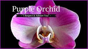Funeral Flowers And Their Meanings The Ultimate Guide Funeral Flowers Flower Meanings Orchid Meaning