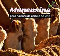 A IMPORTÂNCIA DA MONENSINA PARA BOVINOS DE CORTE E LEITE ...