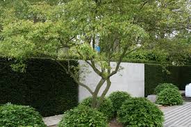 Chelsea Flower Show 2014 First Look Most Beautiful Gardens Garden Landscape Design Garden Design Most Beautiful Gardens