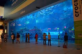 I would love to come again in the future. Largest And Best Aquariums In The World 2021 Top 10 Aquariums