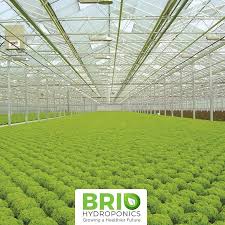 The national aeronautics and space administration (nasa) is using hydroponics to provide fresh food for astronauts. Top Ten Reasons To Start A Hydroponics Garden By Brio Hydroponics Medium