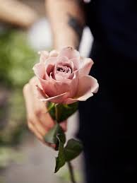 There are a whole lot of parents out there remembering reading the very hungry caterpillar i've had a dog eared copy of this book with me everywhere i've ever studied or worked or lived since i was 14, from philly and new orleans and nyc. Putnam Putnam A Life Filled With Flowers Funny How Flowers Do That