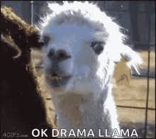 Make your own images with our meme generator or animated gif maker. Drama Llama Gifs Tenor