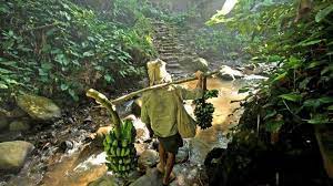 Kurangnya hubungan dengan masyarakat luar. Suku Baduy Mempertahankan Budaya Dengan Menolak Pengaruh Dari Luar Halaman All Tribunkaltim Wiki