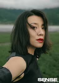 Liu Lin (actrice) : Sa filmographie (films, dramas) (32)