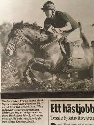 Sista delen i ung swb serie om fölning! Fearless Phil Tavlades Av Peder Fredricson Svensk Galopp