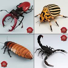 Pin By Justin W On Bugs In 2020 Insect Collection Insects 3d Model