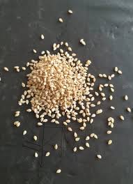 Dried Lonutra Sesame Seeds Til Gingelly Cognosy Agritech Id 20891711755