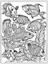 Tuna fish coloring page from tuna category. Pin On Omalovanky