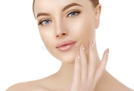 Cerca De Una Hermosa Margarita Blanca Foto de archivo