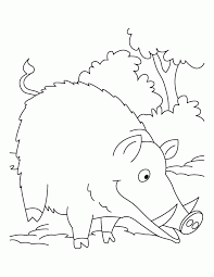 Bears coloring page to print and color for free. Wild Boar Searching Food Coloring Pages Download Free Wild Boar Coloring Home