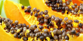 I germogli sono una fonte ricchissima di vitamine e sali minerali. Semi Di Papaya Proprieta Benefici E Come Si Mangiano Fruttaweb